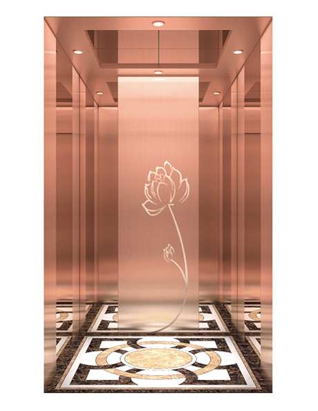 Disinfection MR Passenger Elevator Standard Configure SX-K06（Optional)